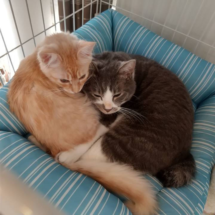 D31ce0c9 bb6b 4e56 86e3 08b5ebb96414 1608963284357