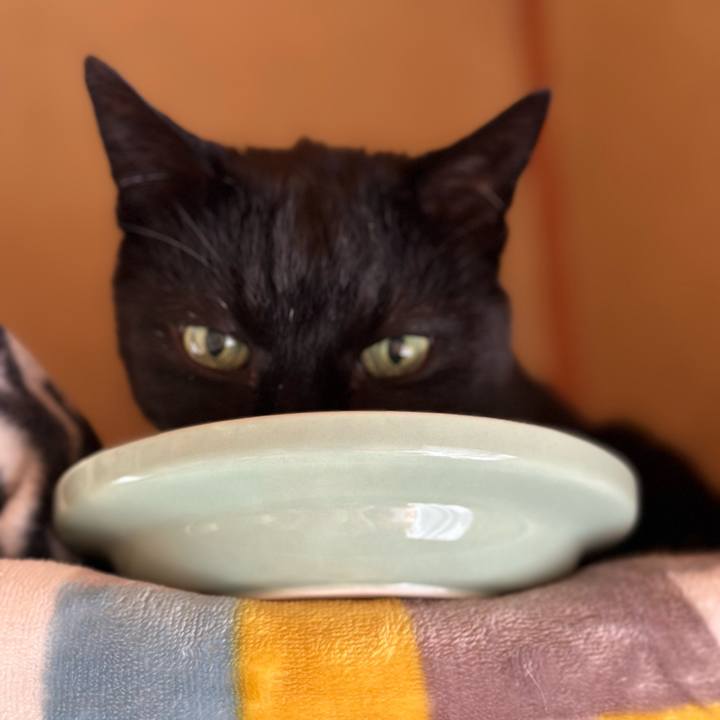 D31d5222 848e 49b3 991d 45b5b05e884f 1682218020692