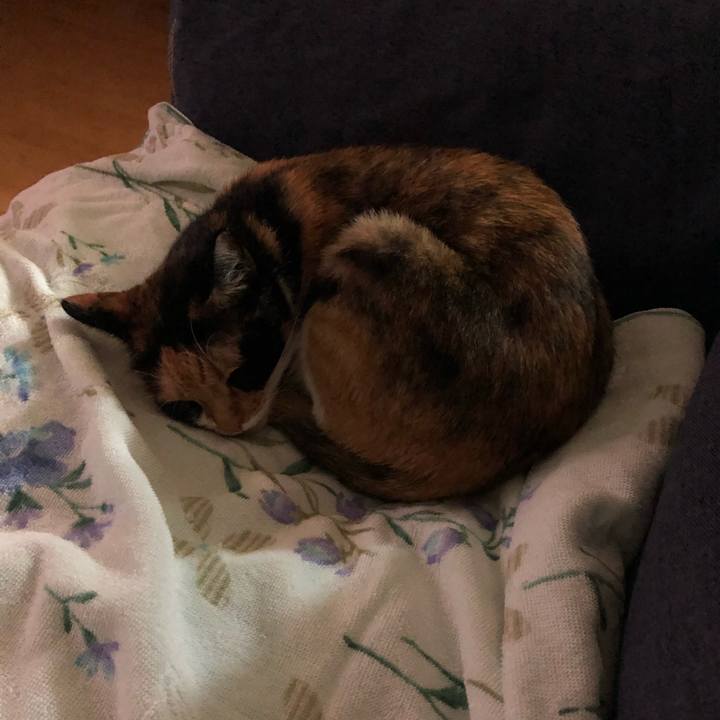 D31d5beb aac2 4794 9e66 e4afda117f38 1537265444502