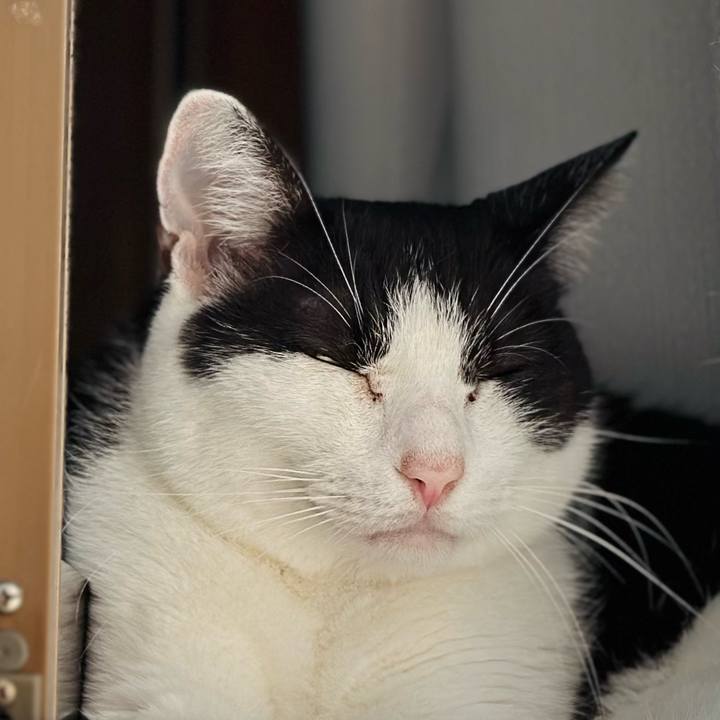 D31dc633 653a 4dc7 8e32 e9c32977a223 1695433562144