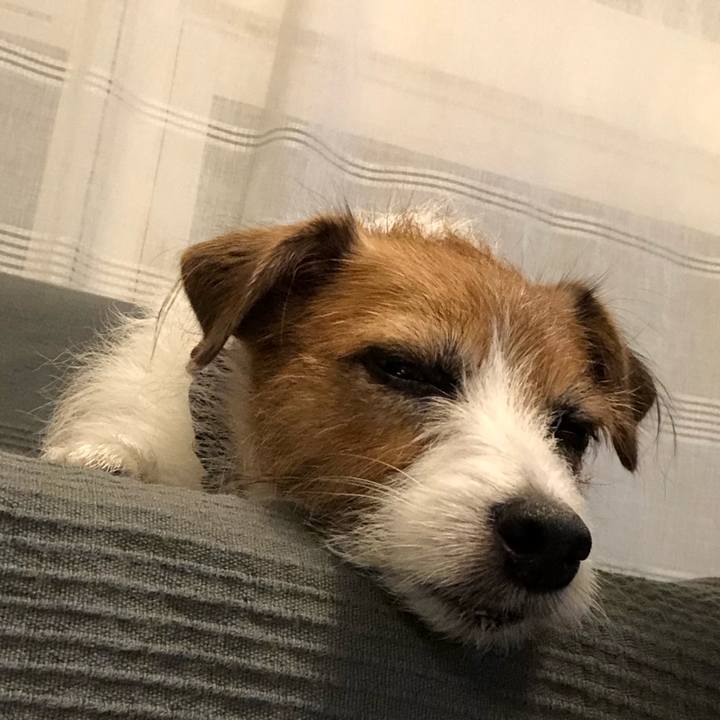 D31dfba5 2a6a 47fa a3ee 31fa21681bcc 1634907159260