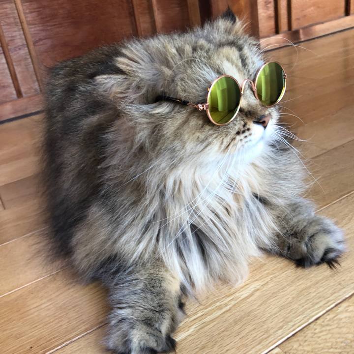 D31e25db 00f9 457e 85fe 141f885af824 1556940004254