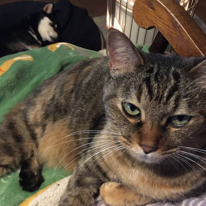 D31e99ea d59e 469b 874d 720372956d05 1575071433289