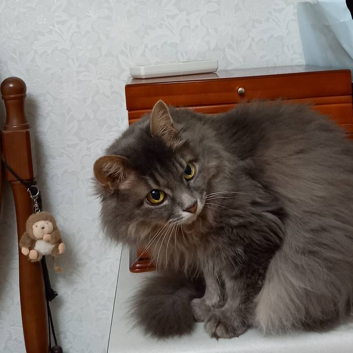 D31e9da7 e54e 4703 9182 cd3a3474ec6d 1627547420460