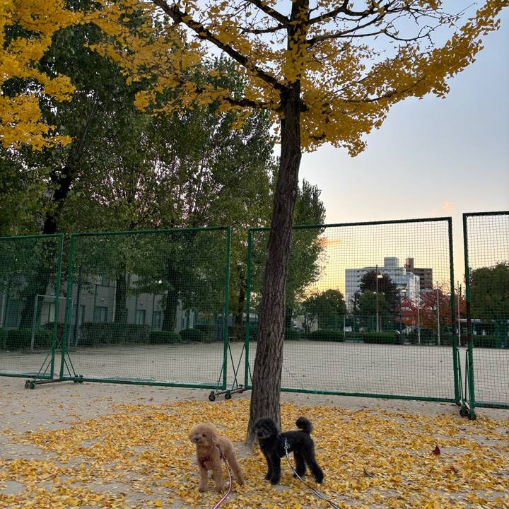 D31ec322 196c 4e1d a8bf d8012d78dd21 1762784190472