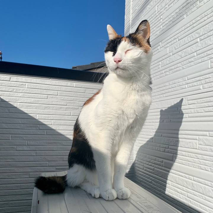 D31ef8d4 8e76 4e25 b696 72aa1c5efb52 1640999347858