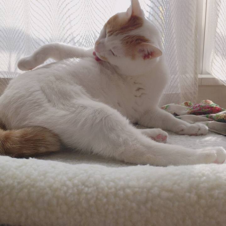 D31f0040 7a78 4c84 b0c4 181d490989ad 1517840163746