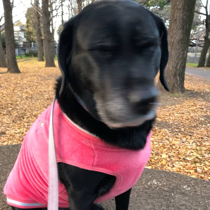 D31f2a73 6c45 4a7a a4a8 cc7f2ae80c1c 1545985448562