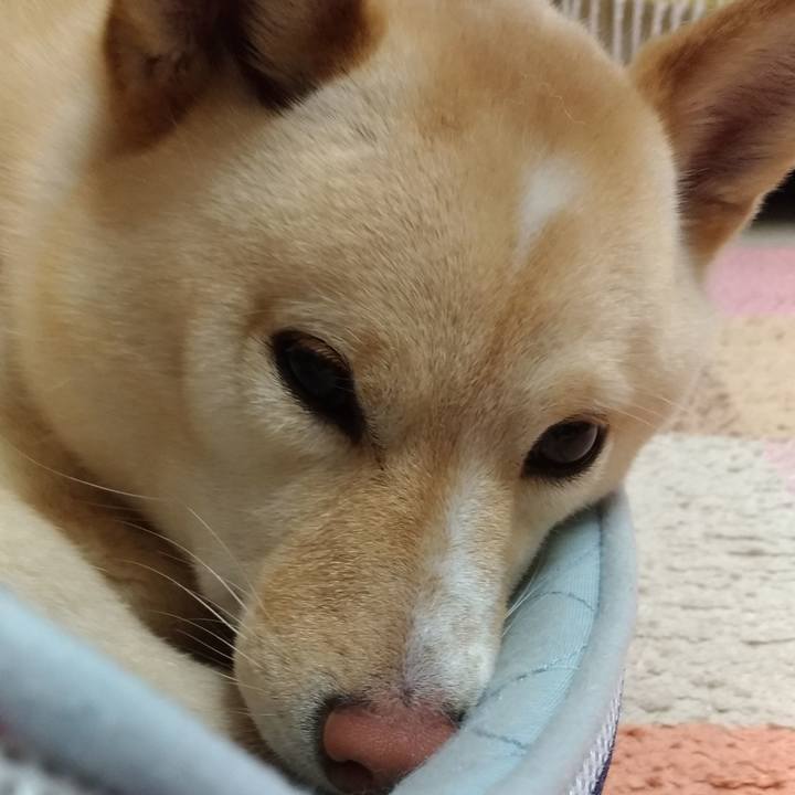 D31f3e0e 262e 4033 8ce6 da51517d3e05 1556062399575