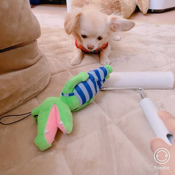 D31f4ba1 4201 49e5 b311 17308e1e455f 1694341589705