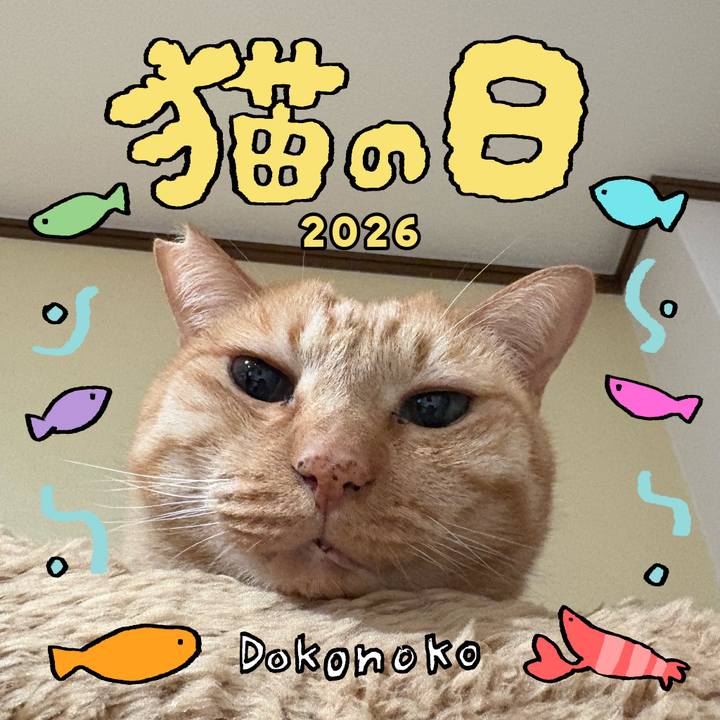 D31f6ae1 fc9c 4a27 b20f 40dcaa5bc68c 1771759929648