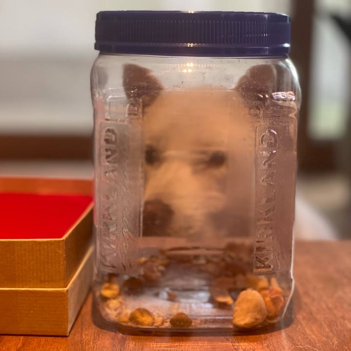 D3205640 d6eb 4c17 8d37 194e2b65ab77 1666173894847