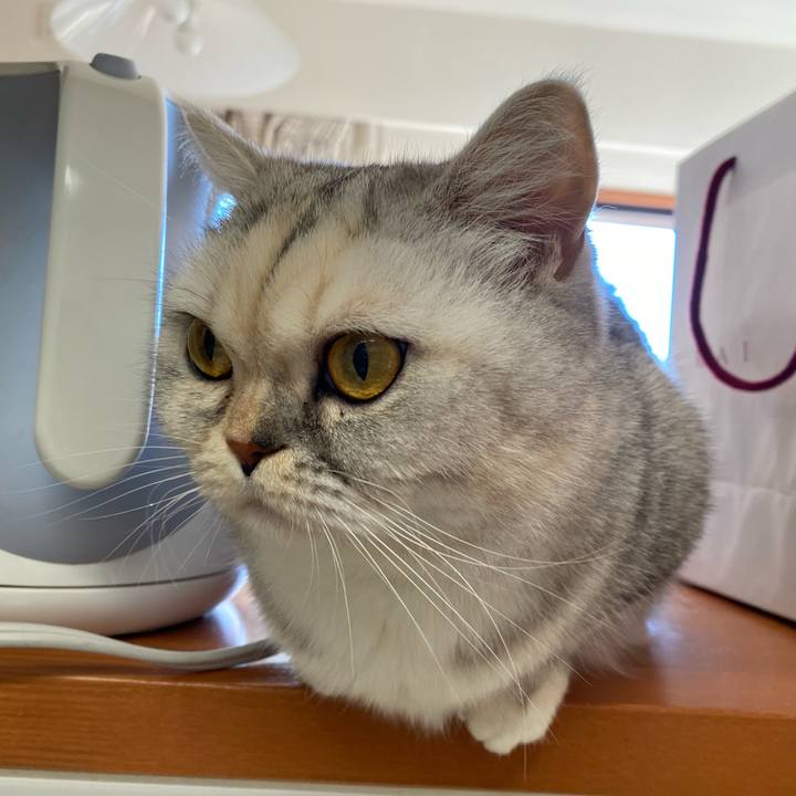 D320634b 3045 4844 b5d7 1d11b14410b5 1739229624268