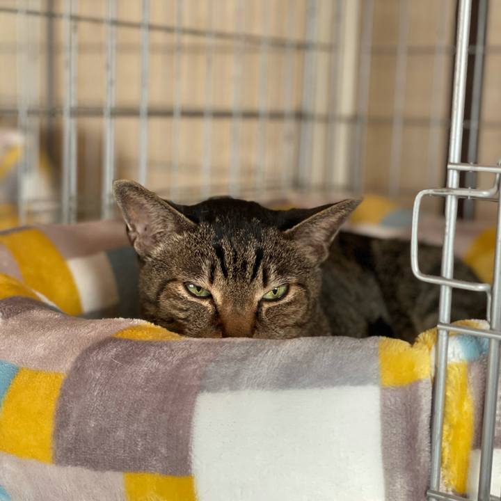 D3206360 650b 4a33 8783 b4bf1b7b35f5 1617155567974