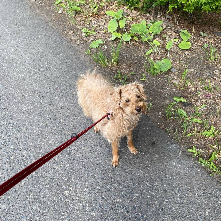 D3208632 8b5d 4d75 8bbb 096823ddd80e 1654747097470