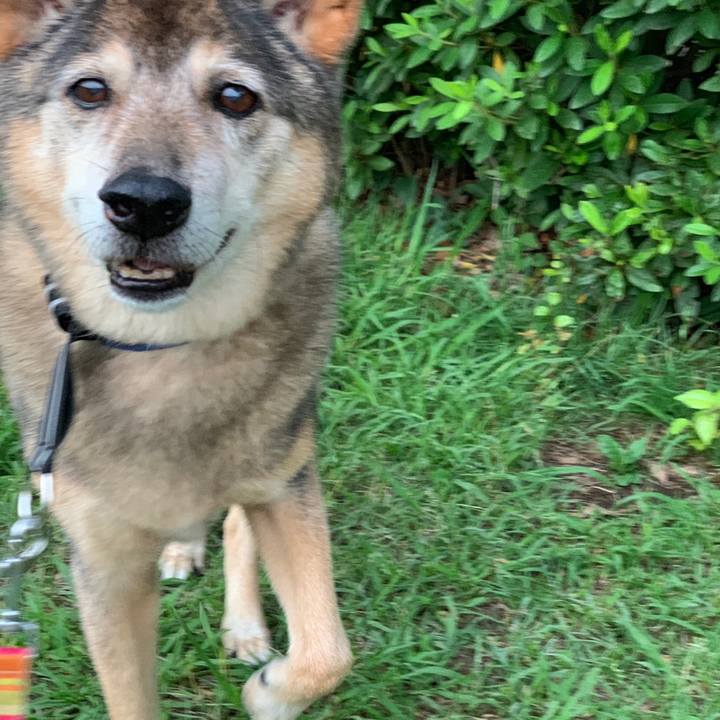 D320cc6c e39f 494a ad4e 83caf3fb298a 1560373684782