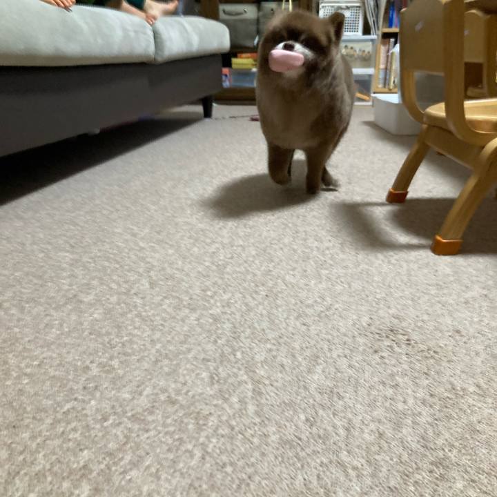 D320d821 9a39 4234 acd6 0b35b0c9aece 1645863810517