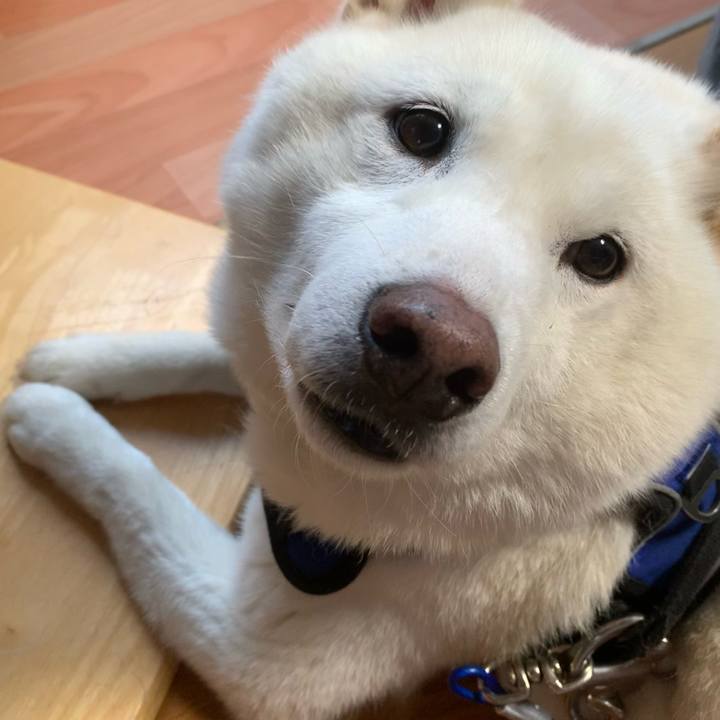 D320f86b 7cc0 4370 8e3f 5baf2a391379 1645257053190