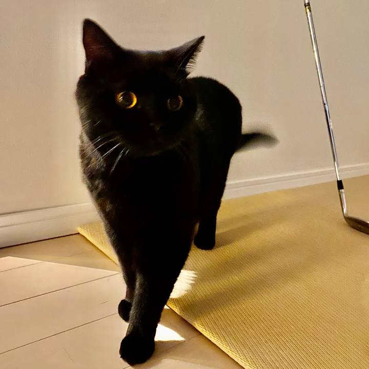 D32101ee 9d53 492e ba71 ddeb46accbe8 1598529109647