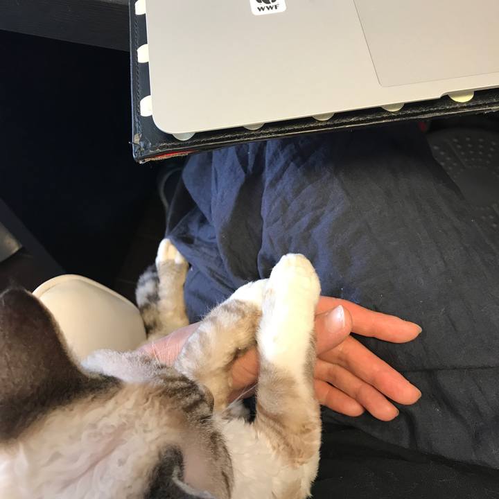 D3212d7d c8ac 4c7b ae62 44f0014a0fcd 1596435174877