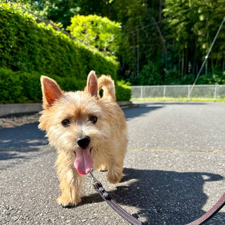 D32172b6 3387 4be9 bd8d 116fc8cc69d2 1716047896227