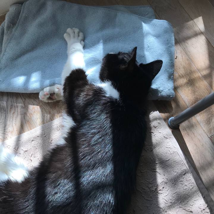 D3218f15 a873 4c84 b00b f9f9e701f8c4 1581441167909