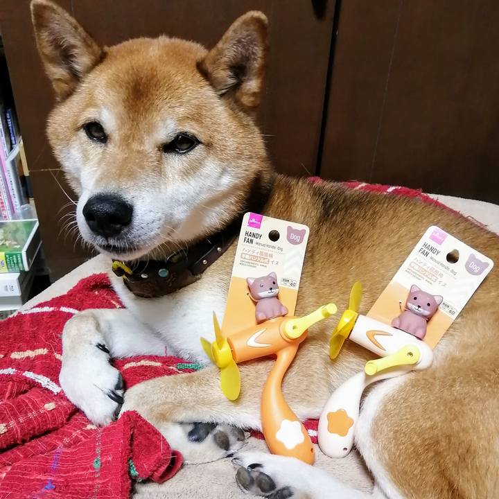 D321902b e95b 43a4 854d 93eadd844a08 1627124296023