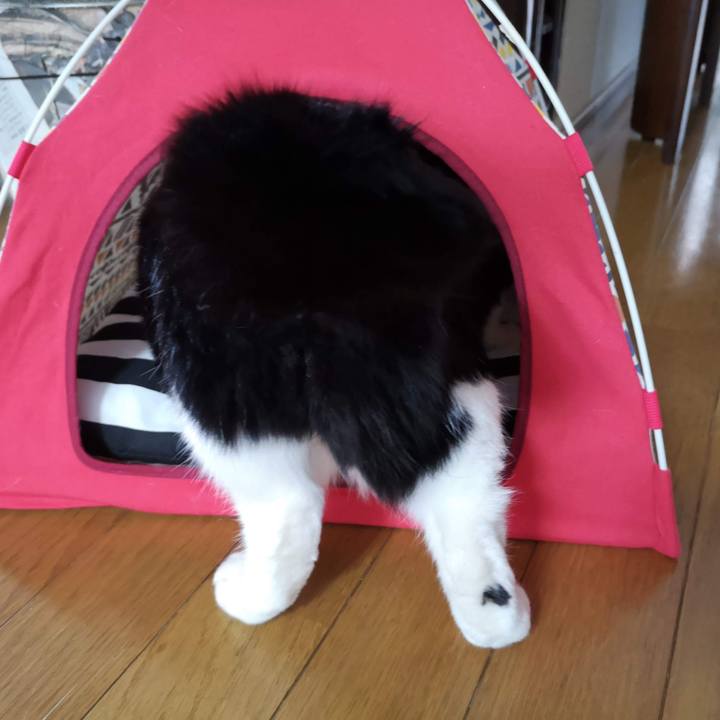 D321a390 720d 4f15 a4e0 3101016ef10f 1610548228168