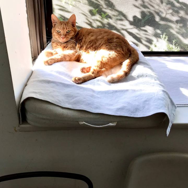 D321b039 9118 4009 863e f9ca848abcc3 1599778815464