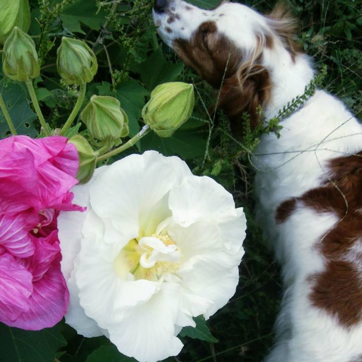 D321df00 f145 4978 8886 8fb96b314e43 1539043656691