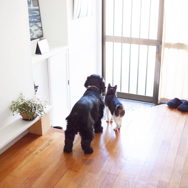 D32238f3 99c0 4fe2 92c3 00292cc50d3d 1550422108961