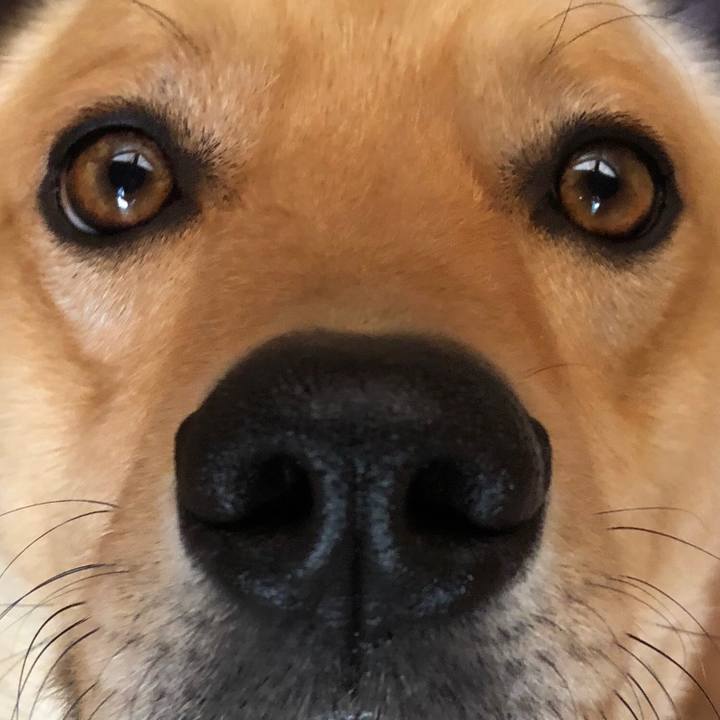 D322489c c775 4e5b 88a5 18fe1ed667c1 1523587957820