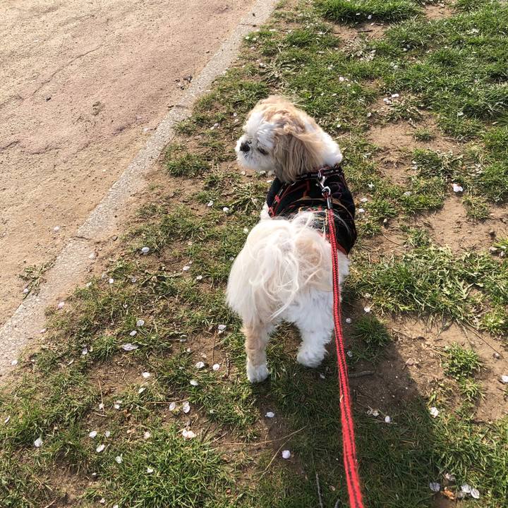 D3225879 4495 4a31 a1cb 3dfd70585711 1617832943488