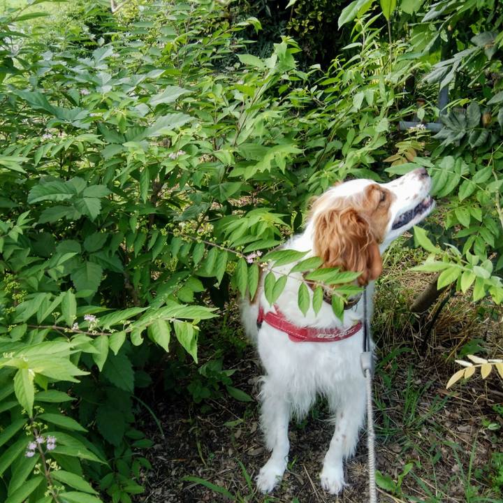 D32264da be5a 4e27 a802 e1b903408175 1563968049050