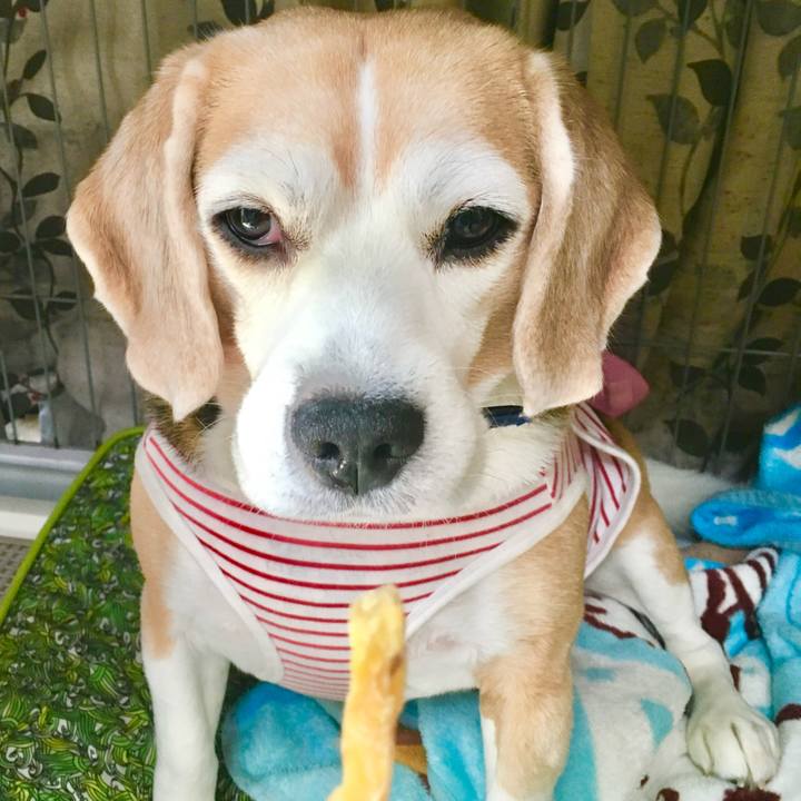 D3226ef0 2f1a 4939 9e63 b52aa174cc84 1762850467145