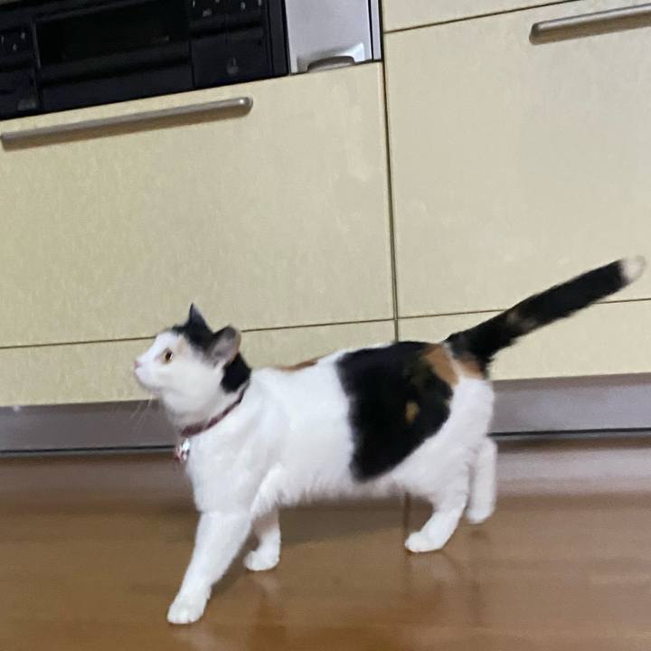 D322b162 a479 4681 b453 f8340901b90f 1645228357047