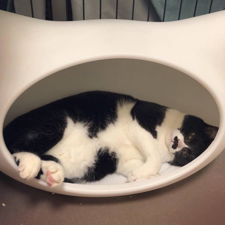 D322b6bd b804 485b a261 a270bf37a246 1591885558115