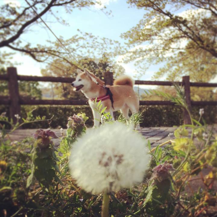 D322d8ae 0d80 41d8 b4a9 6baa5cc95959 1523798377538