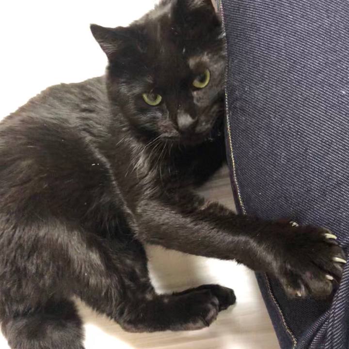 D3232c3d 3ca5 427e a701 b3e12ac979e8 1582023744579