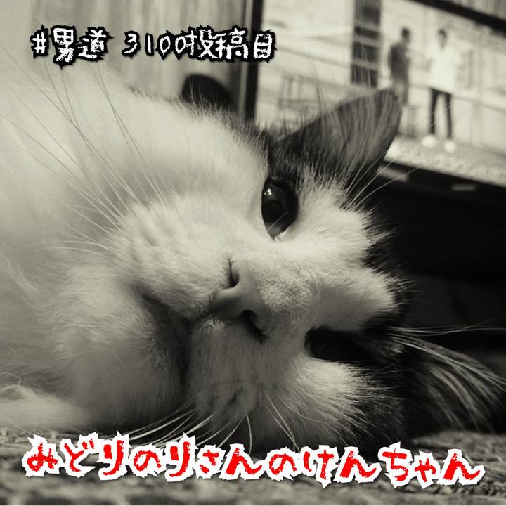 D32350f1 3d3e 42f2 8bed 6ffb2f0f4ddc 1570093102716