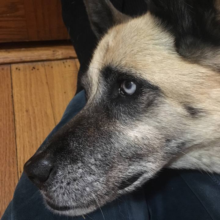 D32354ac e19e 4cbf b680 3acfd8259838 1526433879232