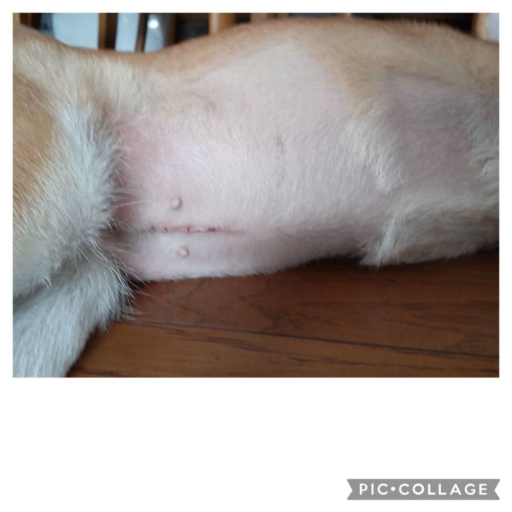 D3238914 b741 4556 88ea 3706816e85da 1706232697132