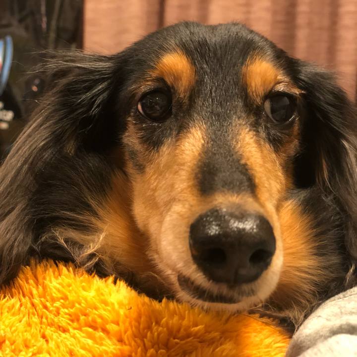 D323b6b9 80de 418a ad9c 8a18a9b4d9ca 1581908647053