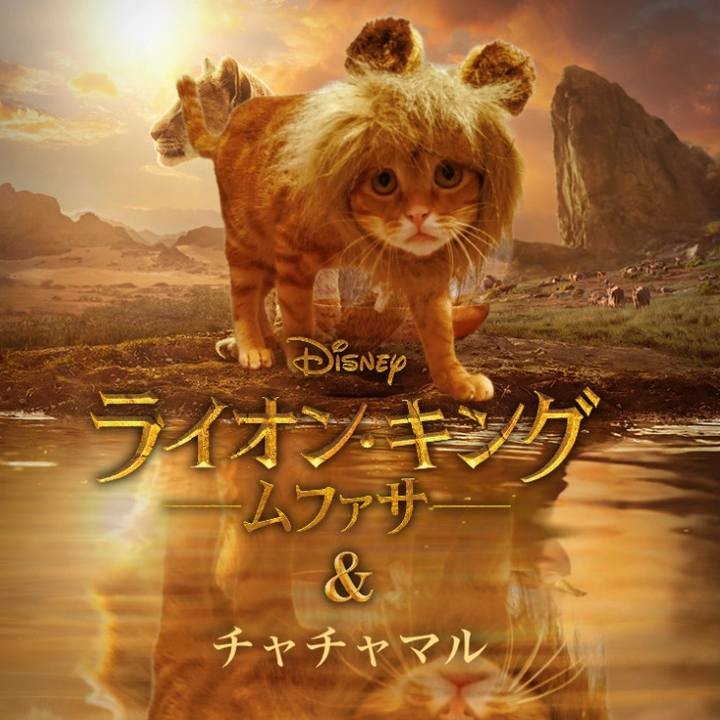 D323c47f 695c 473a 8c79 3eea8ecadb56 1735902760536