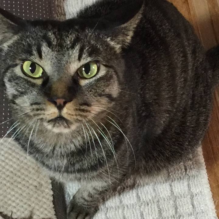 D3240068 8bfe 4844 adf0 652c081e6d62 1522727846034