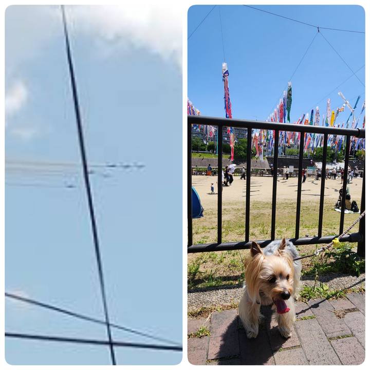 D3242a48 a395 4b63 b14a e2610f4fbddc 1752391927020