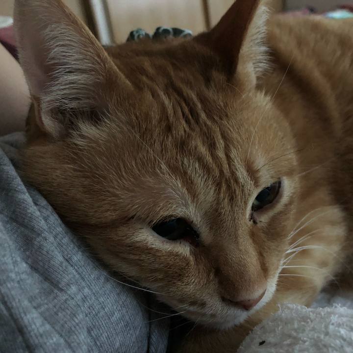 D3242d41 688a 470c a96c ce251650cbde 1586206458805