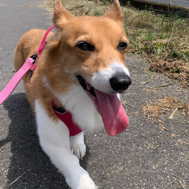 D32445e7 fa1e 469c ab67 1d7a3fbbccf7 1718158365818