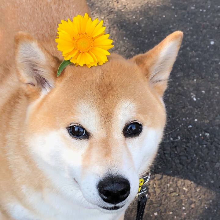 D32475cf cc50 4d5a 831c b2acc9ca94e5 1558760184661