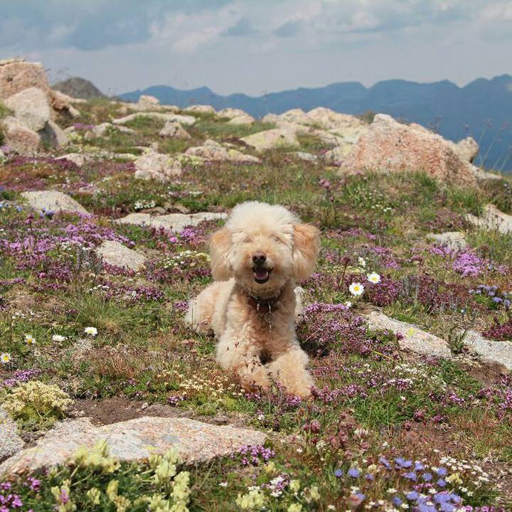 D324ae2a fe8c 400f a17e 7c757ef2ad3a 1563987958595